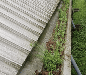 Happy customers in Baldock who trust The Roof Moss Cleaners for gutter cleaning services